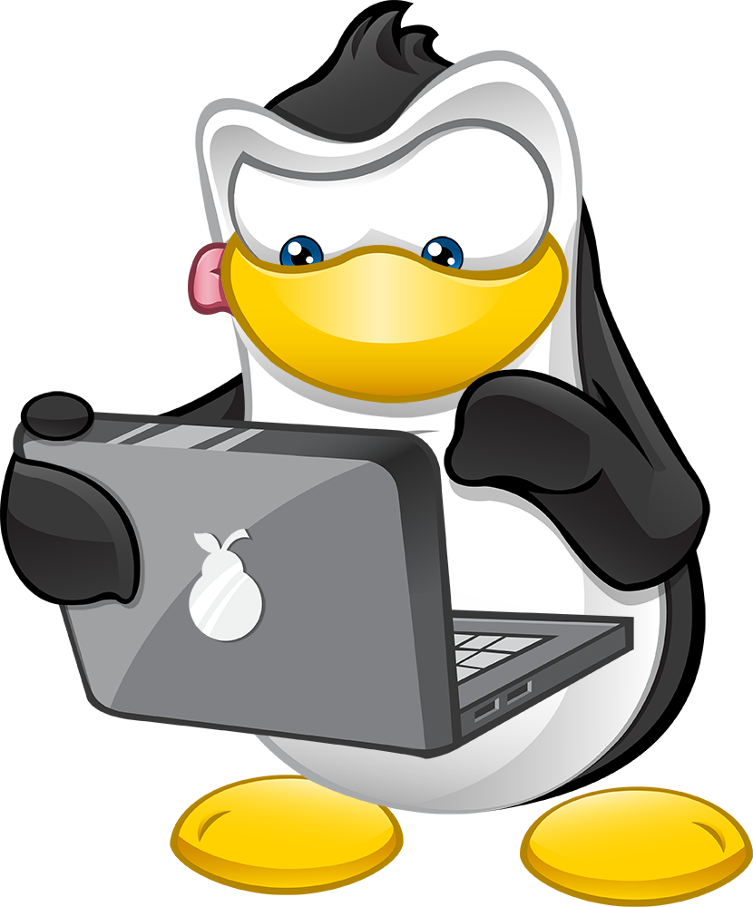 Penguin Character - Working On Laptop